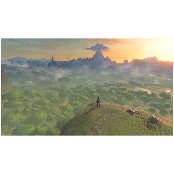 The Legend of Zelda: Breath of the Wild [NSW] (F)
