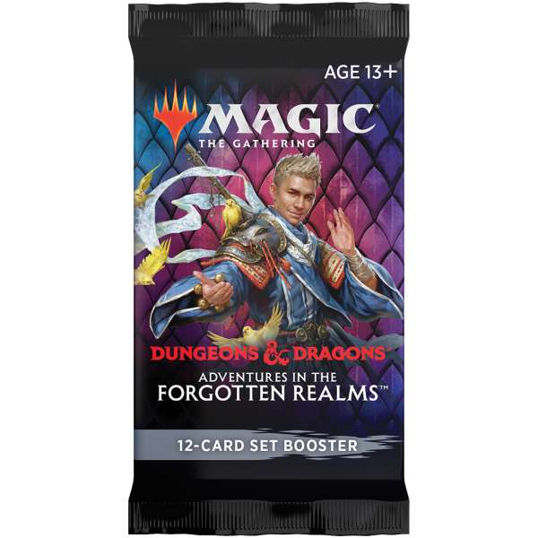adventures in the forgotten realms set booster