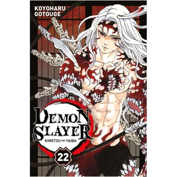 Demon Slayer 22