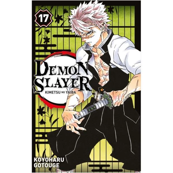 Demon Slayer 17