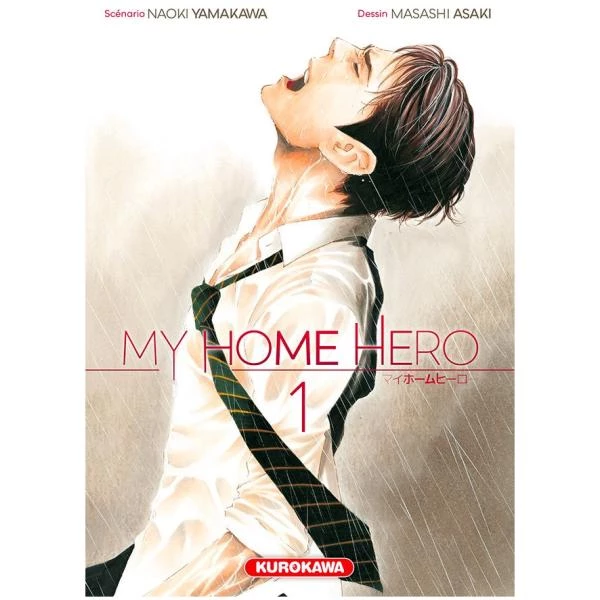 My Home Hero 01