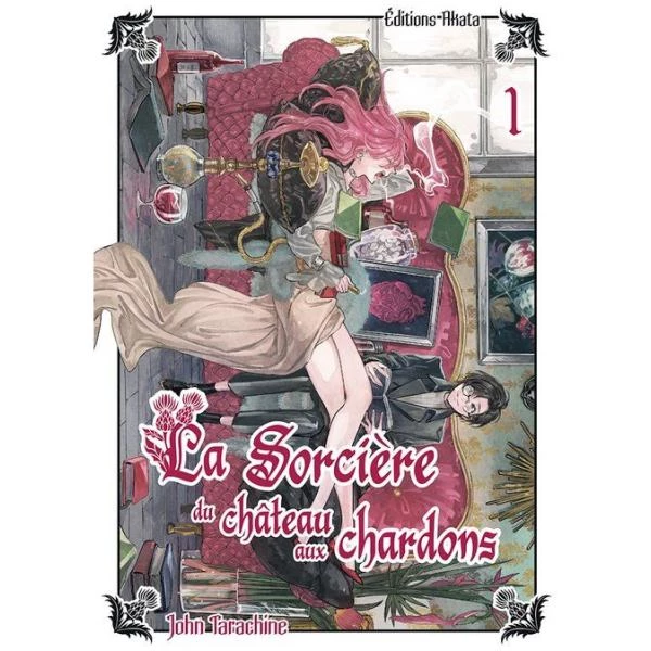 La Sorcière du Château aux Chardons 01