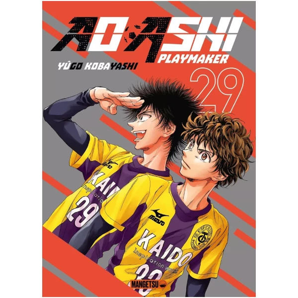 Ao Ashi 29