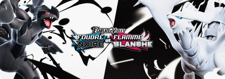 Pokémon Foudre Noire & Flamme Blanche Banner