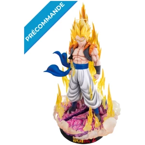 À propos 11 gogeta2