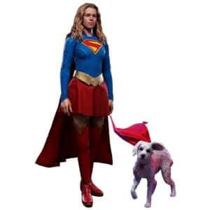 Supergirl & Krypto 1/6 Hot Toys